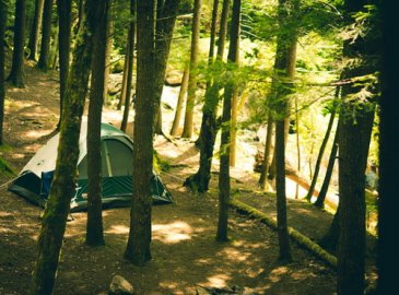 Camping